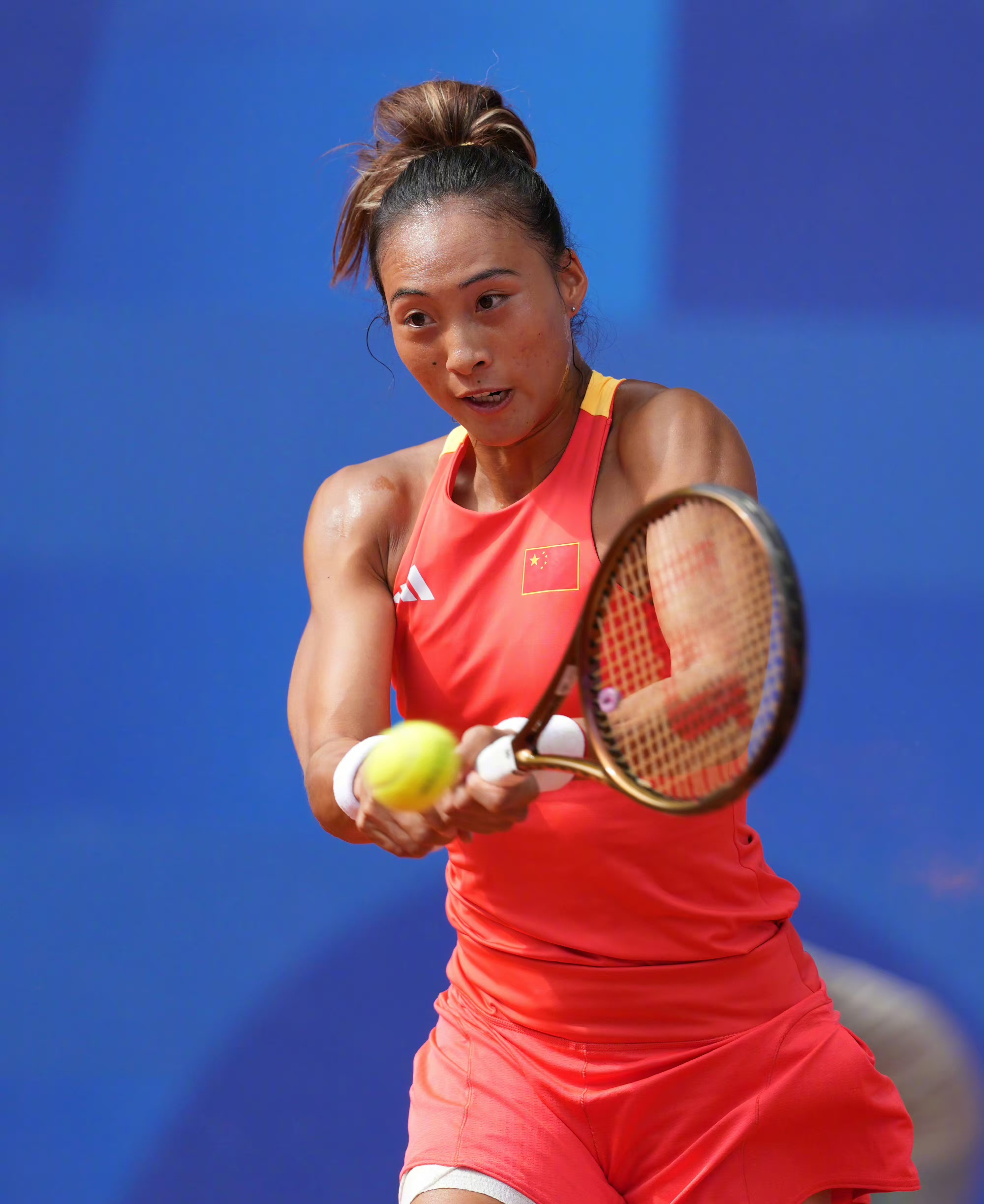 带来了新的 带来了新的